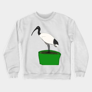 Bin ChickenBin ChickenBin Chicken Crewneck Sweatshirt